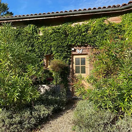 Dom wakacyjny De Fenouil - Le Cocon, 2 Pers, Dans Parc Avec Piscine - 3 Etoiles Civrac-de-Blaye